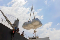 Chất lượng gạo Việt Nam được khẳng định khi hiện nay mặt hàng này đã có mặt ở hơn 150 quốc gia và vùng lãnh thổ. (Nguồn ảnh: TTXVN)