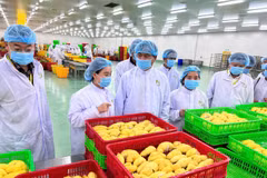 Mở rộng không gian thị trường cho nông sản. (Ảnh: BNNMT)