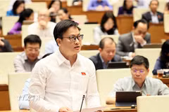 Đại biểu Quốc hội thành phố Đà Nẵng Phan Duy Anh phát biểu. (Ảnh: An Đăng/TTXVN)