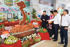 Bắc Ninh xúc tiến tiêu thụ vải thiều và nông sản chủ lực năm 2026. (Ảnh: Việt Hùng/TTXVN)