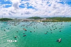 Khu vực neo đậu tàu cá tỉnh An Giang. (Ảnh: Văn Sĩ/TTXVN)