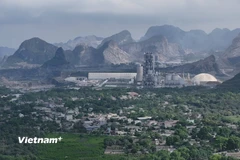 Đề nghị các tỉnh vào cuộc kiểm tra sau phản ánh của Báo Điện tử VietnamPlus. (Nguồn: Vietnam+)