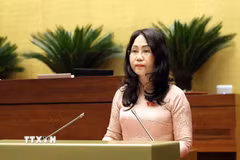 Bộ trưởng Bộ Văn hóa, Thể thao và Du lịch Lâm Thị Phương Thanh trình bày Tờ trình về dự thảo Nghị quyết của Quốc hội về một số cơ chế, chính sách đột phá phát triển văn hoá Việt Nam. (Ảnh: An Đăng/TTXVN)