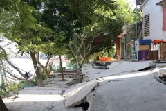 Đê hữu Cầu. (Ảnh: Thanh Thương/TTXVN)