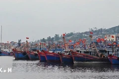 Một khu neo đậu tàu thuyền tại cảng cá. (Ảnh: Hoa Mai/TTXVN)