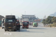 Phương tiện xuất nhập khẩu hàng hóa trong khu vực cửa khẩu quốc tế Hữu Nghị, Lạng Sơn. (Ảnh: Quang Duy/TTXVN)