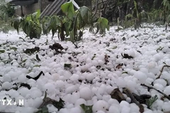 Mưa đá. (Ảnh minh hoạ. Nguồn: TTXVN phát)