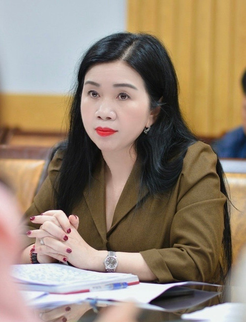 Associate Professor Phan Le Thu Hang - Deputy Director of the Department of Planning and Finance, Director of the Project on Investment in Construction and Development of the Grassroots Health System (Ministry of Health). (Photo: PV/Vietnam+) pgs-hang.jpg