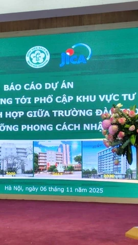 Hội thảo tổng kết Dự án. (Ảnh: PV/Vietnam+)