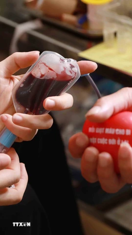 Những đơn vị máu được hiến tại các ngày hội. (Ảnh: Quý Trung/TTXVN) 