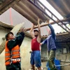 Lực lượng vũ trang hỗ trợ người dân xã Thiên Cầm dọn dẹp nhà cửa hư hỏng do bão. (Ảnh: Hữu Quyết/TTXVN)