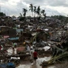 Cảnh tàn phá do bão Kalmaegi ở Talisay, tỉnh Cebu, Philippines, ngày 5/11/2025. (Ảnh: Reuters/TTXVN)