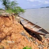 Nhiều đoạn trên bờ sông bị sạt lở vào sâu tạo hàm ếch hoặc phương thẳng đứng khoảng 3m. (Ảnh: Tường Vi/TTXVN)