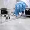 H9N2 đã gây 173 ca nhiễm ở người kể từ năm 1998, chủ yếu tại Trung Quốc. (Nguồn: iStock)