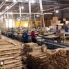Công ty TNHH Đức Toàn Bình Định ở Khu kinh tế Nhơn Hội, Gia Lai, xuất khẩu các sản phẩm đồ gỗ ngoại thất, sang thị trường Châu Âu. (Ảnh: Vũ Sinh/TTXVN)