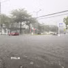 (Ảnh minh họa: Xuân Tư/TTXVN)