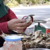 Nghề nướng cá trích không chỉ giúp tạo công ăn việc làm, thu nhập cho bà con vùng biển mà còn góp phần quảng bá đặc sản quê hương. (Ảnh: Thanh Thủy/TTXVN)