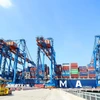 Cảng quốc tế Gemalink nằm trong cụm cảng Cái Mép-Thị Vải thường xuyên đón các tàu mẹ siêu trọng từ nhiều nơi trên thế giới. (Ảnh: Hồng Đạt/TTXVN)
