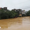 Nước sông Cầu lên cao. (Ảnh: Hoàng Nguyên/TTXVN)