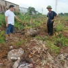 Mộ, mả bị hư hại trong quá trình cưỡng chế giải phóng mặt bằng Cụm công nghiệp Minh Hải 1. (Ảnh: Mạnh Khánh/TTXVN)