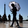 Trời nắng gay gắt tại Paris, Pháp. (Ảnh: Reuters/TTXVN)