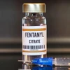 Tăng cường phòng ngừa, đấu tranh tội phạm ma túy có liên quan đến Fentanyl.