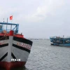 Đến nay 100% tàu cá được đánh dấu, kẻ số đăng ký đúng quy định và được đăng ký, cấp phép, cập nhật lên Cơ sở dữ liệu nghề cá quốc gia Việt Nam. (Ảnh: Đoàn Hữu Trung/TTXVN)