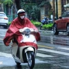 Bắc Bộ và Bắc Trung Bộ có mưa, mưa nhỏ rải rác. (Ảnh: Tuấn Anh/TTXVN)
