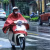 (Ảnh minh họa. Tuấn Anh/TTXVN)
