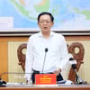 Phó Thủ tướng Hồ Quốc Dũng phát biểu. (Ảnh: An Đăng/TTXVN)