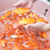 Theo người dân xã Ninh Châu, cá đạt chuẩn phải có thân hình cân đối, sắc đỏ tươi hoặc ánh vàng, vây cứng, vảy óng và có râu hai bên. (Ảnh: Thanh Thủy/TTXVN)