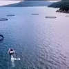 Nhiều mô hình nuôi biển sử dụng lồng bè nuôi hiện đại tại Khánh Hòa. Ảnh: Công Thử - TTXVN