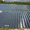 Dự án điện mặt trời. (Ảnh: Huy Hùng/TTXVN)