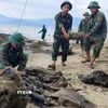 Nhiều vật dụng được phát hiện trong quá trình trục vớt. (Ảnh: Sỹ Thắng/TTXVN)