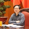 Phó Thủ tướng Hồ Quốc Dũng phát biểu tại cuộc họp. (Ảnh: Xuân Tùng/TTXVN)