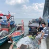 Người dân chờ làm thủ tục đăng ký, đăng kiểm tàu để ra khơi trở lại. (Ảnh: Huỳnh Phúc Hậu/TTXVN)