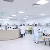 Việc ký kết hợp đồng đối với vị trí việc làm chuyên môn, nghiệp vụ và vị trí việc làm hỗ trợ do người đứng đầu đơn vị sự nghiệp công lập quyết định. (Ảnh minh họa: TTXVN)