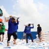 Bốc xếp gạo xuất khẩu. (Ảnh: Hồng Đạt/TTXVN)
