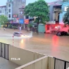 Mưa lớn gây ngập ở Thái Nguyên. (Ảnh: Trần Trang/TTXVN)