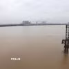 Mực nước sông Hồng đoạn chảy qua Thủ đô Hà Nội dâng cao chịu ảnh hưởng liên tiếp mưa lớn từ cơn bão số 10 và hoàn lưu vùng áp thấp suy yếu từ cơn bão số 11. (Ảnh: Vũ Quang Đán/TTXVN)