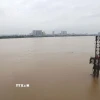 Mực nước sông Hồng đoạn chảy qua Thủ đô Hà Nội dâng cao chịu ảnh hưởng liên tiếp mưa lớn từ cơn bão số 10 và hoàn lưu vùng áp thấp suy yếu từ cơn bão số 11. (Ảnh: Vũ Quang Đán/TTXVN)