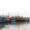 Chủ động ứng phó áp thấp nhiệt đới. (Ảnh: Nguyên Lý/TTXVN)