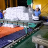 Ngành mía đường Việt Nam đang đối mặt với những thách thức ngày càng nghiêm trọng (Ảnh: TTXVN)