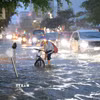Nước ngập lênh láng trên đường Cách Mạng Tháng Tám, phường Cái Khế, thành phố Cần Thơ, khi triều cường lập đỉnh kỷ lục mới 2,29m. (Ảnh: Thanh Liêm/TTXVN)