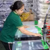 Kiểm soát chặt hoạt động sản xuất, kinh doanh và xuất khẩu, ổn định thị trường gạo