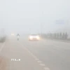 Cần bật đèn sương mù, đèn gầm; tuyệt đối không lấn sang làn đối diện để vượt khi trời sương mù bởi dễ gây va chạm đối đầu. (Ảnh minh họa: Văn Đạt/TTXVN)