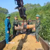 Quả bom được xác định là loại bom phá, có ký hiệu MK-82, đường kính 20cm, dài 155cm, nặng khoảng 350kg, còn nguyên kíp nổ còn sót lại do Mỹ thả xuống trong thời kỳ chiến tranh. (Ảnh: TTXVN phát)