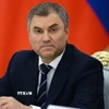 Chủ tịch Duma Quốc gia Quốc hội Liên bang Nga Vyacheslav Volodin. (Ảnh: Sputnik/TTXVN)