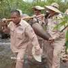 Đội cơ động của MAG di dời quả bom an toàn đến khu vực chờ hủy nổ. (Ảnh: TTXVN phát)
