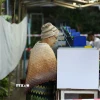 Cử tri bỏ phiếu trong giai đoạn 3 của cuộc tổng tuyển cử tại Yangon, Myanmar, ngày 25/1/2026. (Ảnh: THX/TTXVN)